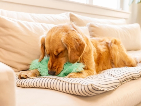 Rowdies® Hunde-Plüschspielzeug Freya