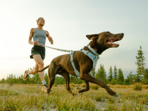 Ruffwear Front Range Flex Hundehalsband Basalt Gray