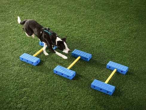 FitPAWS® FitKinect Core Training-Set für Hunde