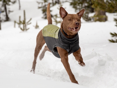 Ruffwear® Climate Changer™ Pullover cedar green