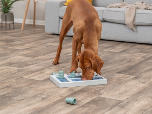 Dog Activity Chess Hundespiel