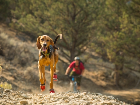 Ruffwear Grip Trex ™ Hundeschuhe Red Currant