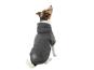 BE NORDIC Hunde Hoodie Flensburg grau 3