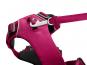 Ruffwear Front Range™ 2.0 Hundegeschirr Hibiscus Pink 3