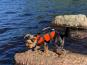 Rukka Pets Schwimmweste für Hunde Safty orange 3