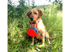 Chuckit Rope Fetch großer Spielball für Hunde 4