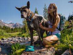 Ruffwear Flat Out™ Hundehalsband Rocky Mountains 4