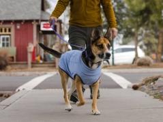 Ruffwear Hemp Hound™ Sweater für Hunde Heliotrope Purple 4