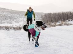 Ruffwear Powder Hound™ Winterjacke für Hunde Aurora Teal 4