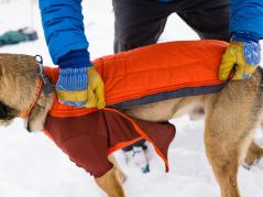 Ruffwear Powder Hound™ Winterjacke für Hunde Persimmon Orange 4
