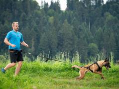Grossenbacher Jogging-Hundeleine mit Elastik-Dämpfer 4