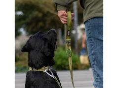 Dog Copenhagen Flexy™ Kotbeutelhalter Hunting Green 4