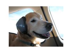 Mutt Muffs® Gehörschutz für Hunde -schwarz- -M- 4