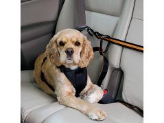 Kurgo Auto Zip Line Rückhaltesystem für Hunde 4