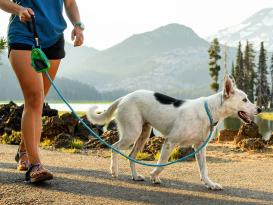 Ruffwear Just-a-Cinch™ Retrieverleine Aurora Teal 4