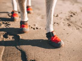 Ruffwear Grip Trex ™ Hundeschuhe Red Sumac 83 mm 4