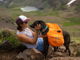 Ruffwear Top Rope™ Hundehalsband mit Metalllverschluss Seafoam 4