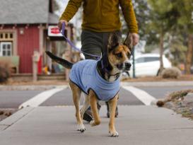 Ruffwear Hemp Hound™ Sweater für Hunde Heliotrope Purple 4