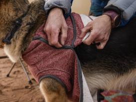 Ruffwear Hemp Hound™ Sweater für Hunde Fired Brick 4