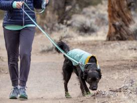 Ruffwear Hi & Light™ Hunde-Wanderschuhe 2er-Set River Rock Green 51 mm 4