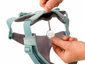 Ruffwear Front Range™ 3.0 Hundegeschirr River Rock Green S 4
