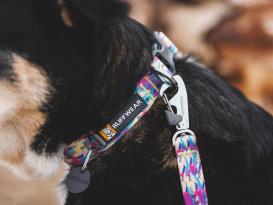 Ruffwear Front Range™ 3.0 Hundehalsband Reef Fish 4