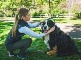 Ruffwear Just-a-Cinch™ Retrieverleine Blue Pool 4