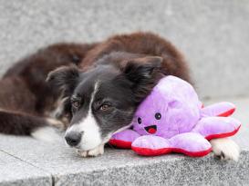 Wende-Oktopus Plüschspielzeug für Hunde 4