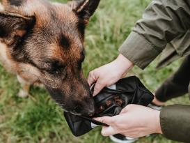 Hunter Futterdummy Trainer Snack Dummy 4