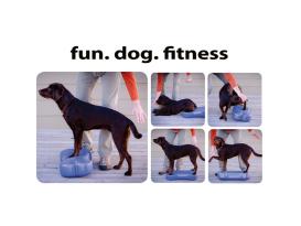 FitPAWS® Giant K9  FITbone™ violett 4
