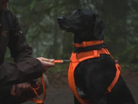 Ruffwear Front Range™ 3.0 Hundegeschirr Blaze Orange S 4