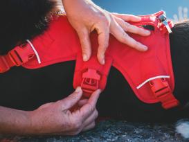 Ruffwear Web Master™ Hundegeschirr 2.0 Red Canyon S 4