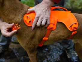 Ruffwear Web Master™ Hundegeschirr 2.0 Blaze Orange XXS 4