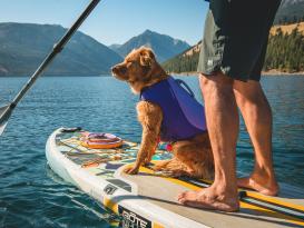 Ruffwear Float Coat™ Schwimmweste für Hunde Purple Lily M 4