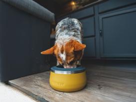 Ruffwear Basecamp Spritzschutzring für Edelstahlnapf 4