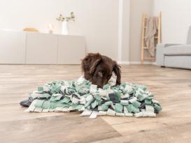 Dog Activity Strategie-Spiel Schnüffelteppich für Hunde 4