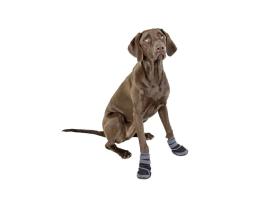 B-Ware Hundeschuhe Pfotenschutz Active 2-er Set XXL 4