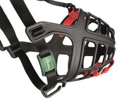 Hunter Maulkorb Albury 4