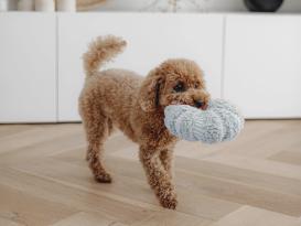 District 70 Hunde-Schnüffelspielzeug Daisy taupe 4