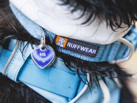 Ruffwear Front Range Flex Hundehalsband Polar Blue 4
