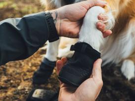 Ruffwear Ridgeline™ Hundeschuhe Obsidian Black 4