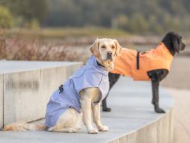 Hundemantel Regenmantel Vimy flieder 4