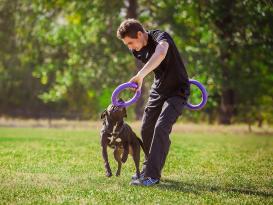 Puller Dog Fitness Tool interaktives Hundespielzeug 4
