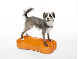 FitPAWS® K9 FITbone 4