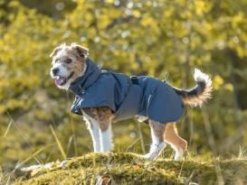 Wasserdichter Hundemantel Explore Light mit Thinsulate™-Wattierung 4