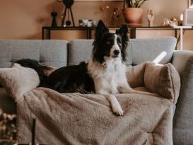 District 70 Nuzzle Schlafsofa für Hunde taupe 4