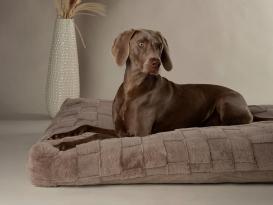 Scruffs Oxford Orthopädisches Hundekissen silber 4