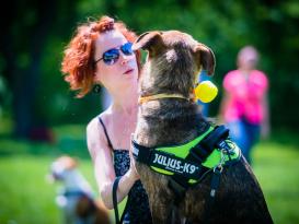 Julius K9 IDC Power Hundegeschirr neon-grün Gr. 1 4