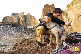 Ruffwear Doubleback™ Trekking Bergsteiger Hundegeschirr Gr. S 4