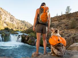 Ruffwear Approach™ Pack Hunderucksack orange poppy 4